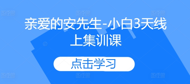 亲爱的安先生-小白3天线上集训课-一人公司创业项目 - 淘金吧