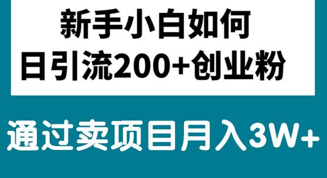 新手小白日引流200+创业粉,通过卖项目月入3W+-一人公司创业项目 - 淘金吧
