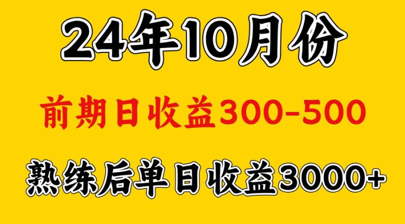 高手是怎么赚钱的.前期日收益500+熟练后日收益3000左右-一人公司创业项目 - 淘金吧