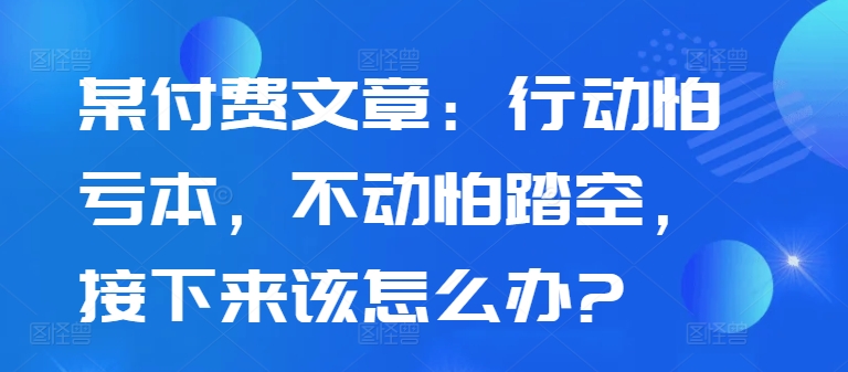 某付费文章：行动怕亏本，不动怕踏空，接下来该怎么办?-一人公司创业项目 - 淘金吧