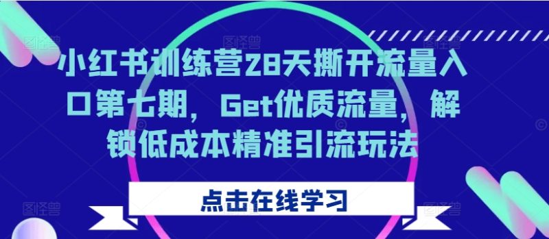 小红书训练营28天撕开流量入口第七期,Get优质流量,解锁低成本精准引流玩法-一人公司创业项目 - 淘金吧