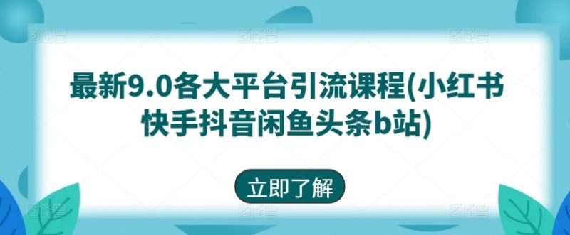 最新9.0各大平台引流课程(小红书快手抖音闲鱼头条b站)-一人公司创业项目 - 淘金吧