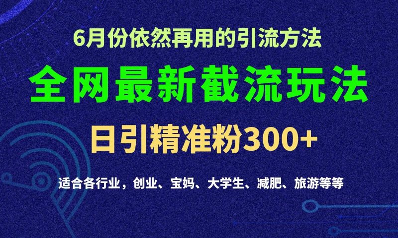 2024全网最新截留玩法,每日引流突破300+-一人公司创业项目 - 淘金吧