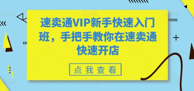 速卖通VIP新手快速入门班，手把手教你在速卖通快速开店-一人公司创业项目 - 淘金吧