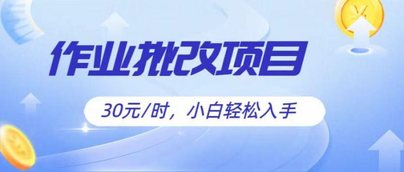 作业批改项目30元/时，简单小白轻松入手，非常适合兼职-一人公司创业项目 - 淘金吧
