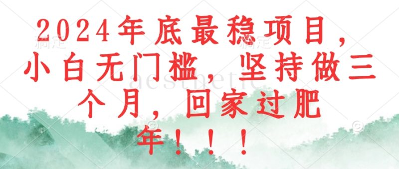 2024年底最稳项目,小白无门槛,坚持做三个月,回家过肥年!!!-一人公司创业项目 - 淘金吧