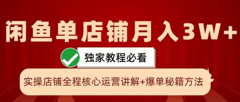 闲鱼单店铺月入3W+实操展示,爆单核心秘籍,一学就会【揭秘】-一人公司创业项目 - 淘金吧