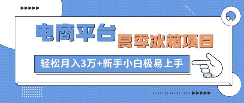 电商平台夏季冰箱项目,轻松月入3万+,新手小白极易上手-一人公司创业项目 - 淘金吧