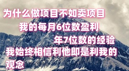 做项目不如卖项目，每月6位数盈利，年7位数经验-一人公司创业项目 - 淘金吧