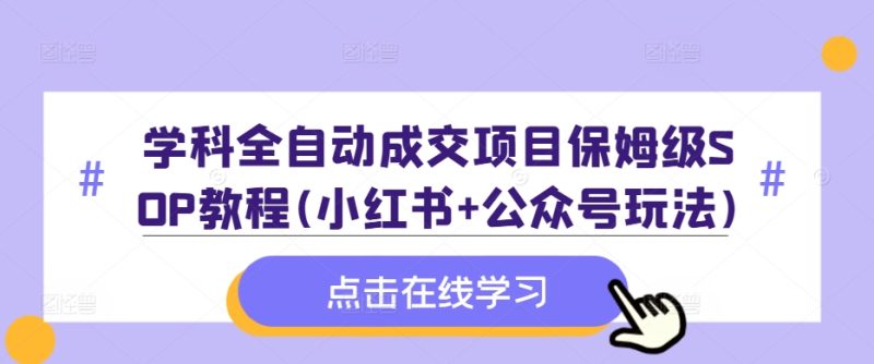 学科全自动成交项目保姆级SOP教程(小红书+公众号玩法)含资料-一人公司创业项目 - 淘金吧