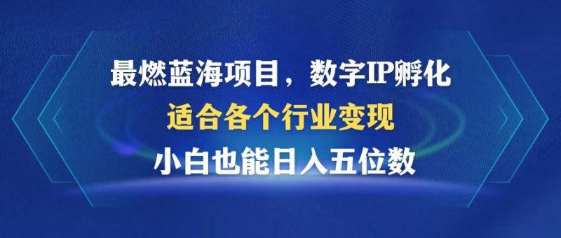最燃蓝海项目  数字IP孵化  适合各个行业变现  小白也能日入5位数-一人公司创业项目 - 淘金吧