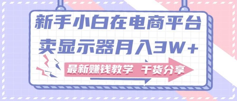 新手小白如何做到在电商平台卖显示器月入3W+,最新赚钱教学干货分享-一人公司创业项目 - 淘金吧