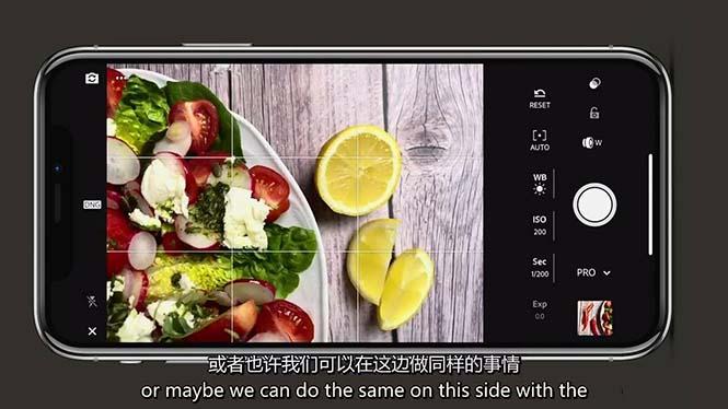 iPhone 美食摄影-掌握美食摄影造型-构图和编辑艺术-21节课-中英字幕-一人公司创业项目 - 淘金吧