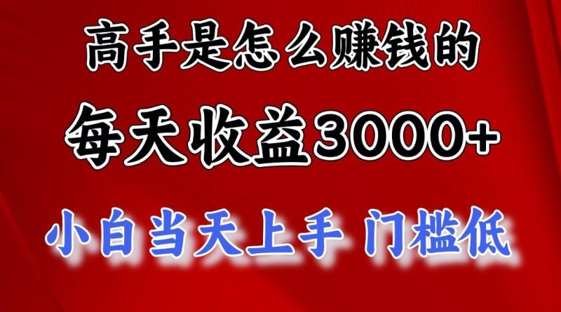 高手是怎么赚钱的,1天收益3500+,一个月收益10万+,-一人公司创业项目 - 淘金吧