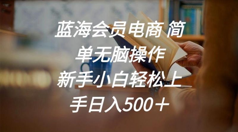 蓝海会员电商 简单无脑操作 新手小白轻松上手日入500+-一人公司创业项目 - 淘金吧