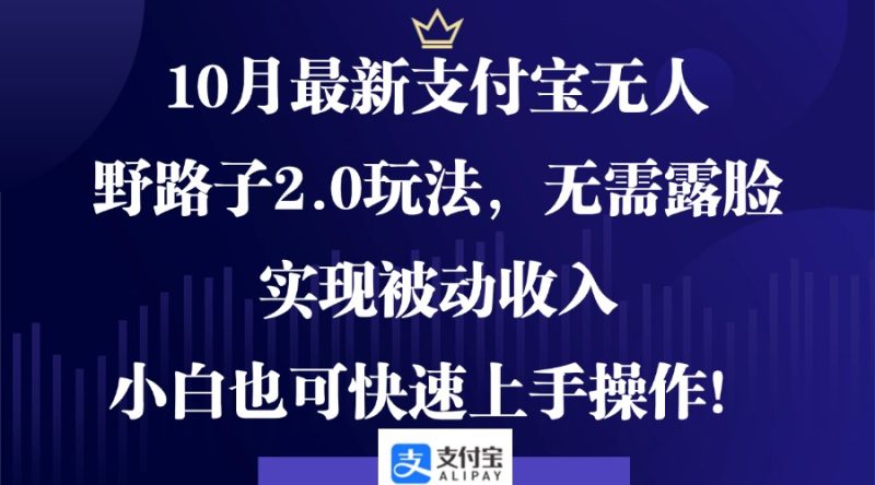 10月最新支付宝无人野路子2.0玩法,无需露脸,实现被动收入,小白也可…-一人公司创业项目 - 淘金吧