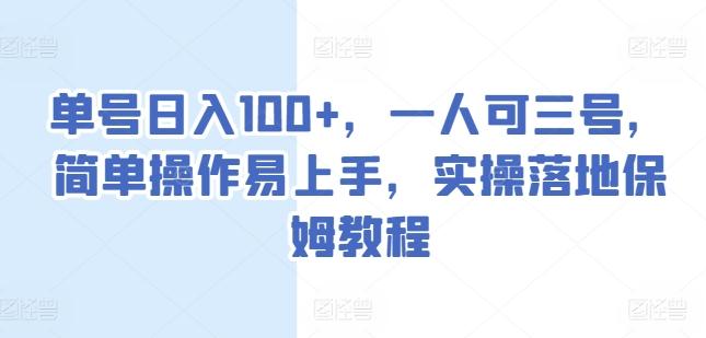 单号日入100+，一人可三号，简单操作易上手，实操落地保姆教程【揭秘】-一人公司创业项目 - 淘金吧