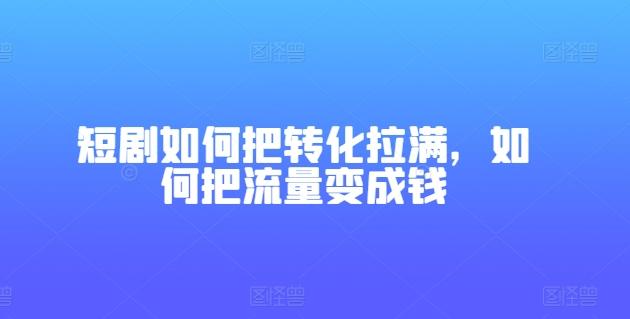 短剧如何把转化拉满，如何把流量变成钱-一人公司创业项目 - 淘金吧