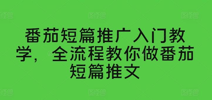 番茄短篇推广入门教学，全流程教你做番茄短篇推文-一人公司创业项目 - 淘金吧
