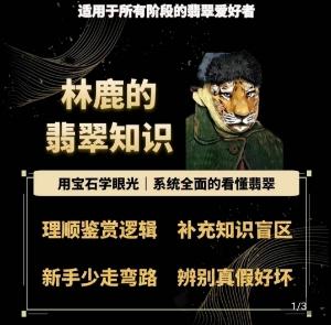 林鹿的翡翠知识，​用宝石眼光，系统全面的看懂翡翠-一人公司创业项目 - 淘金吧