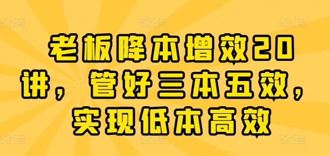 老板降本增效20讲,管好三本五效,实现低本高效