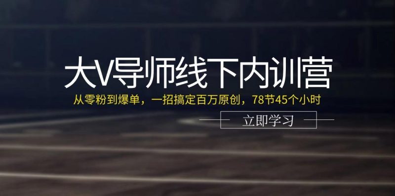 大V导师线下内训营:从零粉到爆单,一招搞定百万原创(78节45个小时)-一人公司创业项目 - 淘金吧