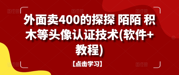 外面卖400的探探 陌陌 积木等头像认证技术(软件+教程)-一人公司创业项目 - 淘金吧