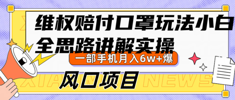 维权赔付口罩玩法，小白也能月入6w+，风口项目实操-一人公司创业项目 - 淘金吧