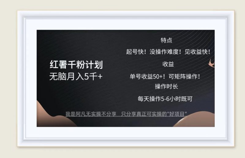 红薯千粉计划无脑月入5千+！既做既赚！-一人公司创业项目 - 淘金吧