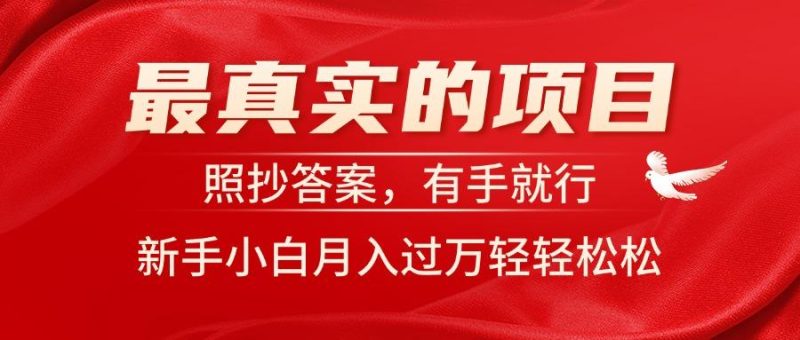 最真实的项目,照抄答案,有手就行,新手小白月入过万轻轻松松-一人公司创业项目 - 淘金吧