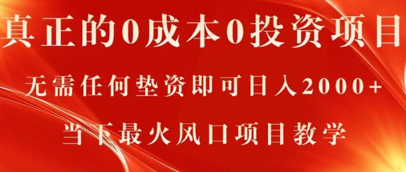 真正的0成本0投资项目,无需任何垫资即可日入2000+,当下最火风口项目教学-一人公司创业项目 - 淘金吧