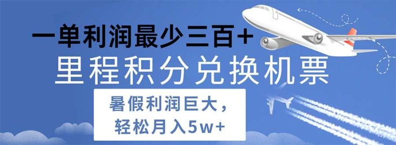 2024暑假利润空间巨大的里程积分兑换机票项目，每一单利润最少500-一人公司创业项目 - 淘金吧