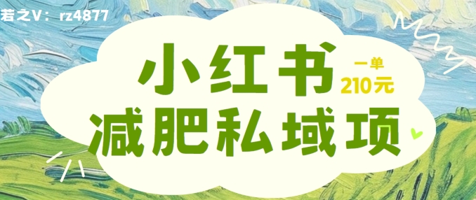 小红书减肥粉，私域变现项目，一单就达210元，小白也能轻松上手【揭秘】-一人公司创业项目 - 淘金吧