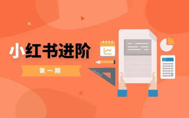 小红书进阶篇，零基础小白实战课，普通人变现的课程-一人公司创业项目 - 淘金吧