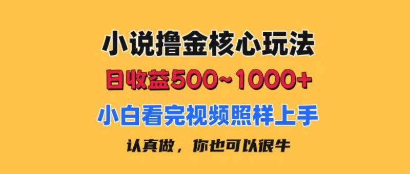 小说撸金核心玩法，日收益500-1000+，小白看完照样上手，0成本有手就行-一人公司创业项目 - 淘金吧