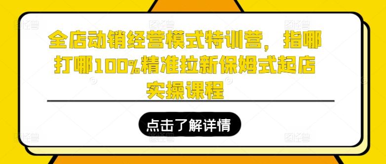 全店动销经营模式特训营,指哪打哪100%精准拉新保姆式起店实操课程-一人公司创业项目 - 淘金吧