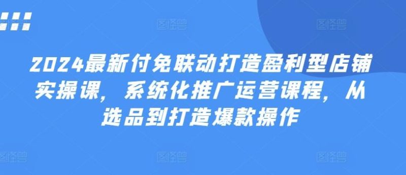 2024最新付免联动打造盈利型店铺实操课,系统化推广运营课程,从选品到打造爆款操作-一人公司创业项目 - 淘金吧