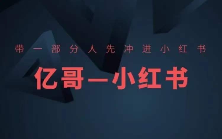 ​​带一部分人先冲进小红书，小红书开店、选品、爆款裂变-淘金吧副业资源站