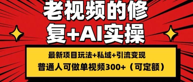 修复老视频的玩法,搬砖+引流的变现(可持久),单条收益300+【揭秘】-一人公司创业项目 - 淘金吧