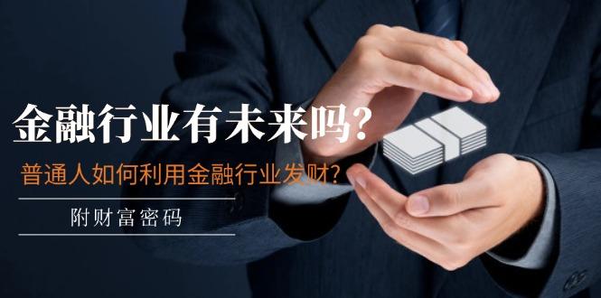 某付费文章：金融行业有未来吗？普通人如何利用金融行业发财?(附财富密码-一人公司创业项目 - 淘金吧