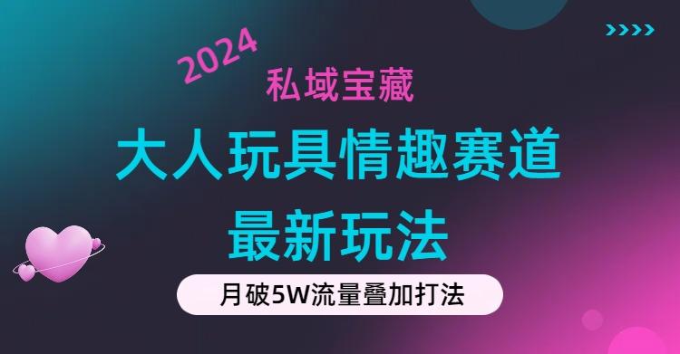 私域宝藏：大人玩具情趣赛道合规新玩法，零投入，私域超高流量成单率高-一人公司创业项目 - 淘金吧