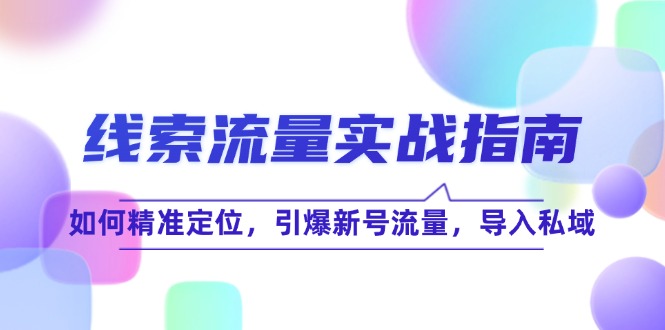 线 索 流 量-实战指南：如何精准定位，引爆新号流量，导入私域-一人公司创业项目 - 淘金吧