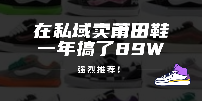 24年在私域卖莆田鞋，一年搞了89W，强烈推荐！-淘金吧副业资源站