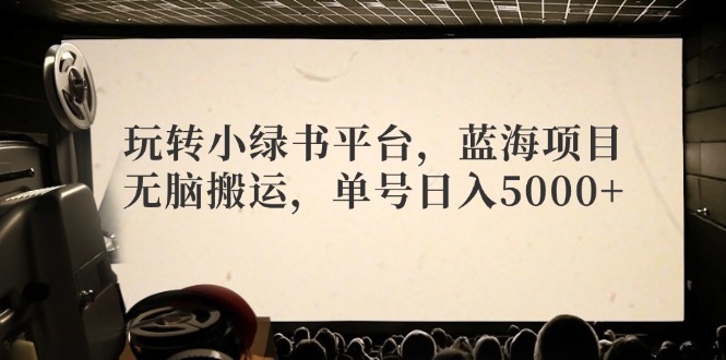 玩转小绿书平台，蓝海项目，无脑搬运，单号日入5000+-一人公司创业项目 - 淘金吧