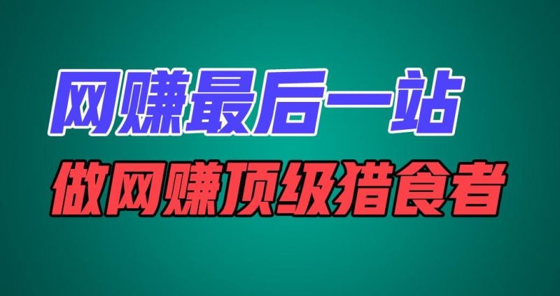 网赚最后一站,卖项目,做网赚顶级猎食者-一人公司创业项目 - 淘金吧