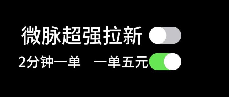 微脉超强拉新， 两分钟1单， 一单利润5块，适合小白-一人公司创业项目 - 淘金吧