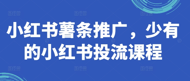 小红书薯条推广,少有的小红书投流课程-一人公司创业项目 - 淘金吧