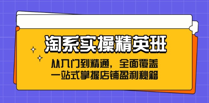 淘系实操精英班：从入门到精通，全面覆盖，一站式掌握店铺盈利秘籍-一人公司创业项目 - 淘金吧