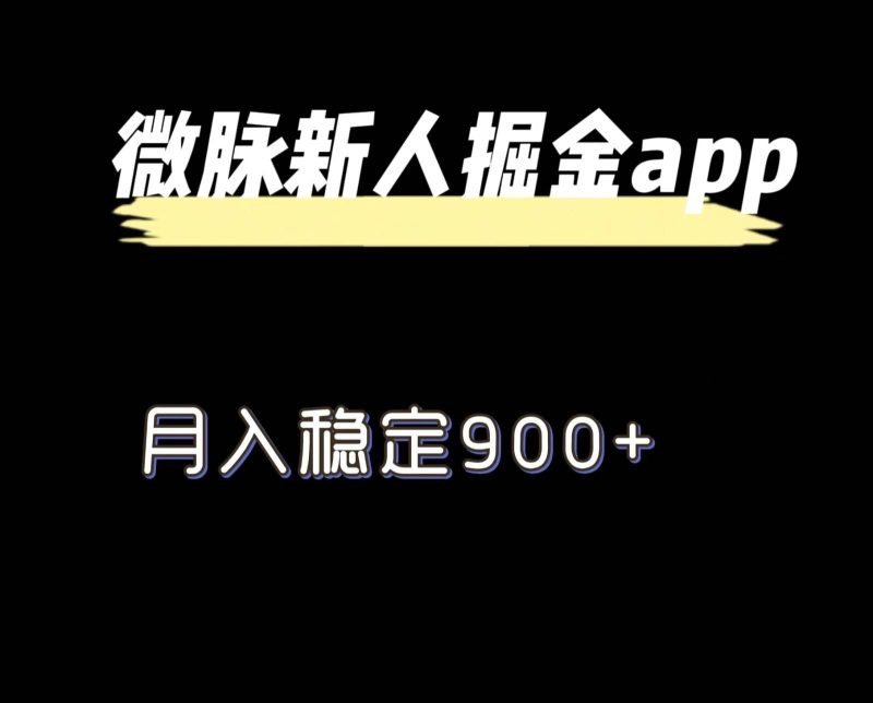 最新微脉长久项目，拉新掘金，月入稳定900+-一人公司创业项目 - 淘金吧
