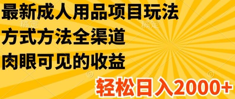 最新成人用品项目玩法，方式方法全渠道，轻松日入2K+【揭秘】-一人公司创业项目 - 淘金吧